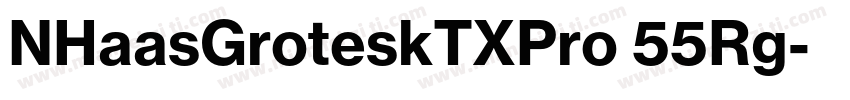 NHaasGroteskTXPro 55Rg字体转换